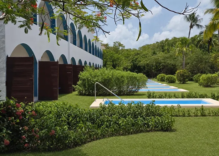 Animaux admis Ocean Maya Royale Adults Only